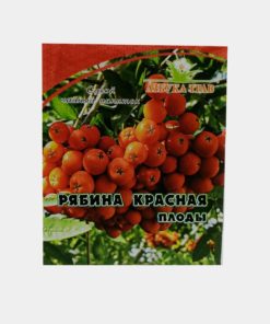 Red Rowan Berries, 40g (Azbuka Trav)