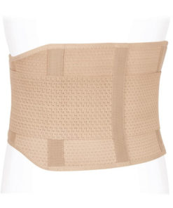Ecoten OVO-21 Internal Organ Support Belt (2 Rigid Stays & Double Straps) - Size S