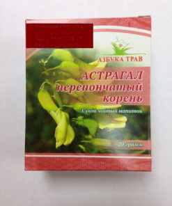 Astragalus Membranaceus Root (20g) - Azbuka Trav