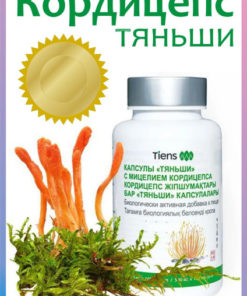 TianShi Cordyceps: 100 Capsules for Immune Support