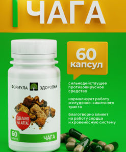 Chaga Mushroom Extract: Powerful Benefits