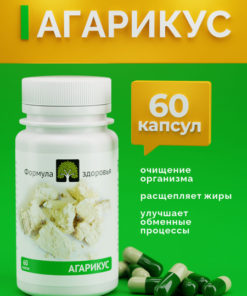 Agaricus Suber: Chaga Mushroom Extract