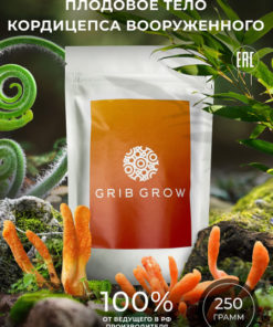 Cordyceps Militaris Extract Powder - 250g