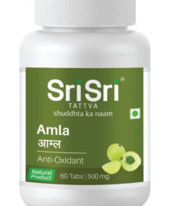 Sri Sri Amla Supplement: 500mg Anti-Aging Formula