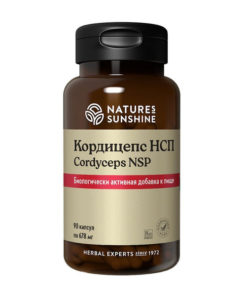 Cordyceps Supplements: NSP Benefits & Uses