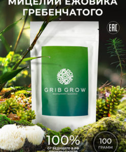 Lion's Mane Mycelium Grow Kit - 100g