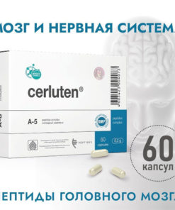 Cerluten (Khavinson Peptides): Brain & CNS Support Supplement - 60 Capsules