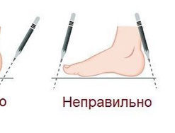 Health Art Orthotic Insoles: Sizes 24.5-40 (incl. Gold, L)