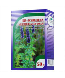 Schizonepeta Multifida Herb Tea - 50g