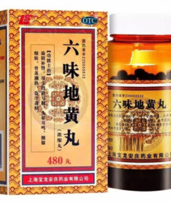 Liu Wei Di Huang Pills (6 Herbs) for Diabetes, Gout & Kidney Health - 480 Capsules