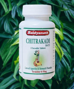 Baidyanath Chitrakadi Bati (80 Tablets): Ayurvedic Medicine for Cough & Cold