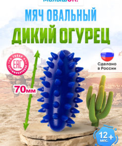 Mini Wild Cucumber Massage Ball, Blue, Gift Boxed