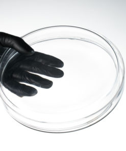200mm Boro 3.3 Borosilicate Glass Petri Dish