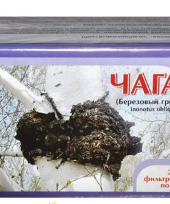 Chaga Mushroom Extract (20:1) - Horst