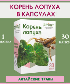 Burdock Root Capsules: 30 Count