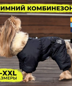 Black Winter Dog Jumpsuit for Small & Medium Breeds (Male)