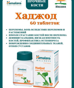 Hadjod Himalayan Tablets (60 Count)
