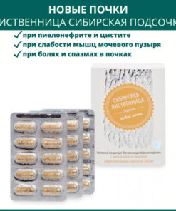 Siberian Larch Kidney Support: Capsules for Kidney Stones, Cystitis & Pyelonephritis