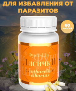 Chanterelle Mushroom Supplement: 60 Capsules (270mg Each)