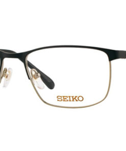 Seiko T9035-001 Titanium Watch Frame