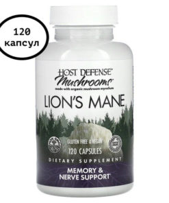 Lion's Mane Mushroom: Memory & Nerve Support - 120 Vegetarian Capsules