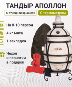 Apollo Tandoor Oven: Drop-Lid, Thermometer, Stand, Cover & Gloves