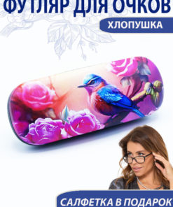 Corrective Glasses Case