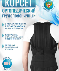 Back Support Brace, Size 3 (155-165cm, 60-80cm Waist) - B-504EK Krait