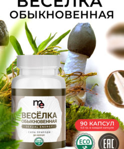 Chaga Mushroom Capsules: Boost Your Energy Naturally
