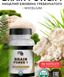 Lion's Mane Mushroom Mycelium Capsules: Brain & Immune Support (90 Count)