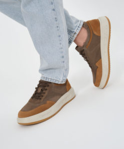 Salamander Sneakers
