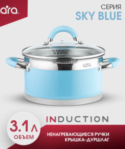 Lara 3.1L Stainless Steel Stockpot with Cool-Touch Handles - Sky Blue