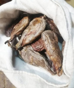 Dried Beaver Castoreum (50g)