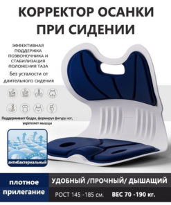Posture Corrector
