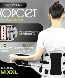 Back Brace & Posture Corrector: Lumbar Support Belt for Men & Women