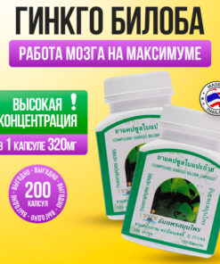 Ginkgo Biloba Capsules for Brain Health (200 Count)