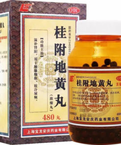 Gui Fu Di Huang Wan (480 Pills, 0.18g/pill): Kidney Support Supplement