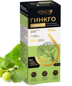 Ginkgo Biloba Extract for Brain, Memory & Focus - Vitauct 100ml