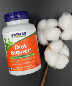 Now Diet Support: 120 Vegan Capsules