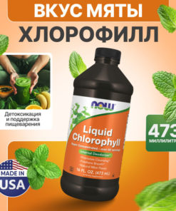 Liquid Chlorophyll for Gut Health & Immunity (16 oz)