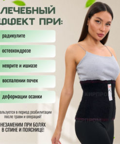 Dog Hair Back & Lumbar Support Belt - Size Large