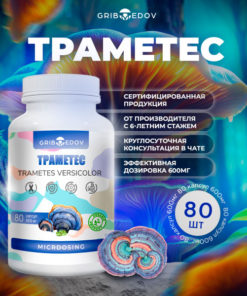 Trametes Versicolor Capsules: 80mg Dried Mushroom Extract