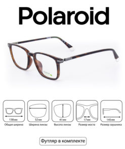 Polaroid PLD D523/G Eyeglass Frames