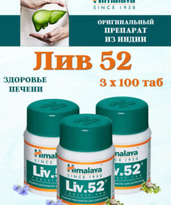 Liver Support Herbal Supplement (300 Tablets)