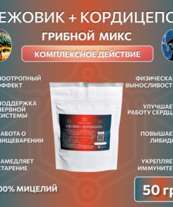 Lion's Mane & Cordyceps Militaris Nootropic Mushroom Blend - 50g