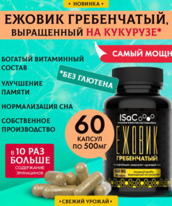 Lion's Mane Mushroom Mycelium Capsules for Memory & Sleep
