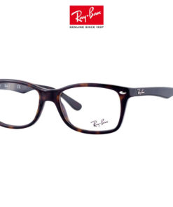 Ray-Ban 5228 Sunglasses (53mm) - Medium Size