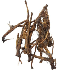 Dandelion Root Benefits