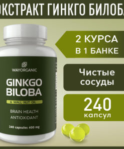 Ginkgo Biloba Capsules for Memory & Brain Health - 240 x 400mg WAY ORGANIC