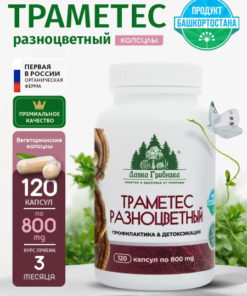 Trametes Versicolor: 120 Capsules (800mg) for Energy & Health